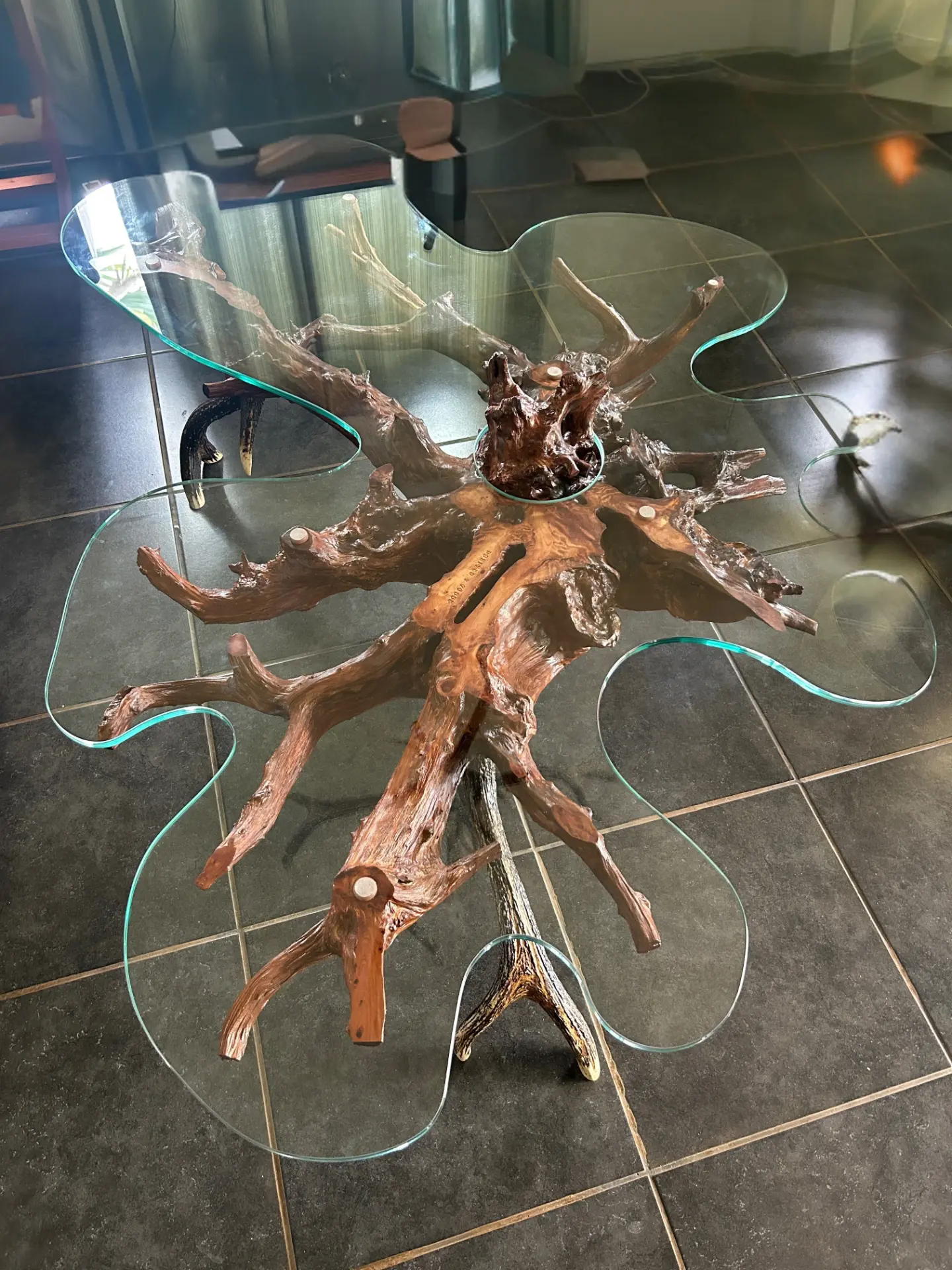 Driftwood root coffee table with an organically shaped glass top
